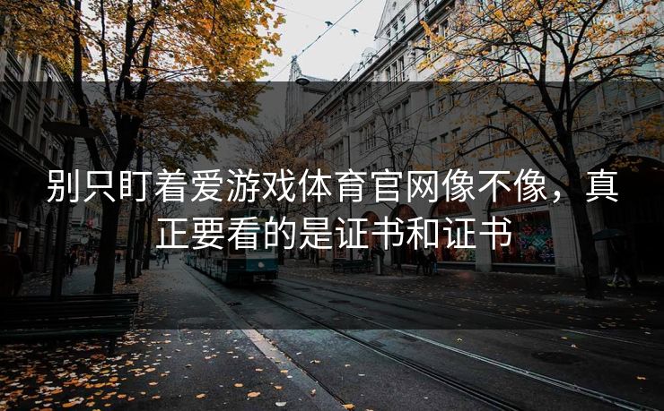 别只盯着爱游戏体育官网像不像，真正要看的是证书和证书